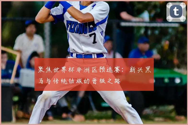 聚焦世界杯非洲区预选赛：新兴黑马与传统劲旅的晋级之路