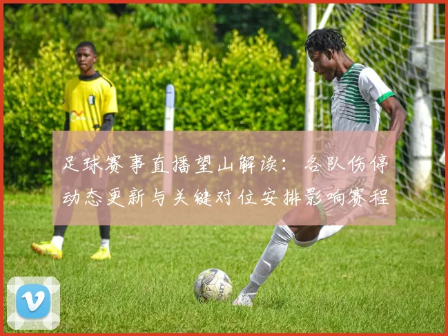 足球赛事直播望山解读：各队伤停动态更新与关键对位安排影响赛程